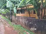 3.5cent of Residential/ Semi-Commercial Plot in Palarivattom
