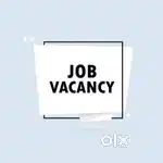 Tele calling office assistant team leader