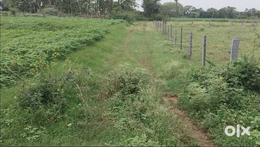 14 guntas total for sale tharalapally near kadipikonda kazipet