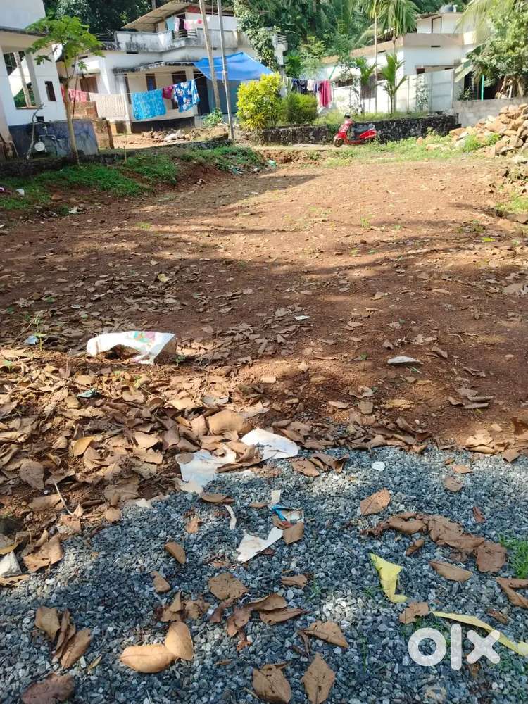 Adipoli plot nissan site