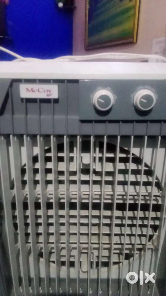 Cooler for summer