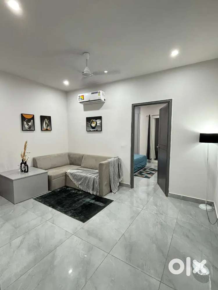 1 BHK fully furnished luxury