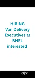 Van Delivery Executives