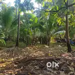 30 cents of  land with old house for sale at Guruvayour