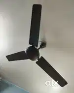 Ceiling Fan 1200mm