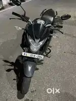 Honda Hornet
