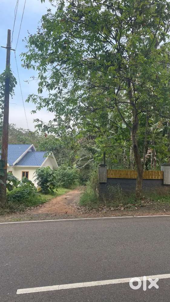 26cent housing plot near Muvattupuzha,Arakuzha