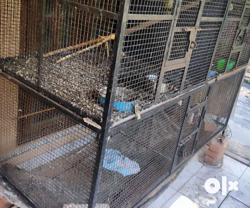 Bird breeding cages for sale