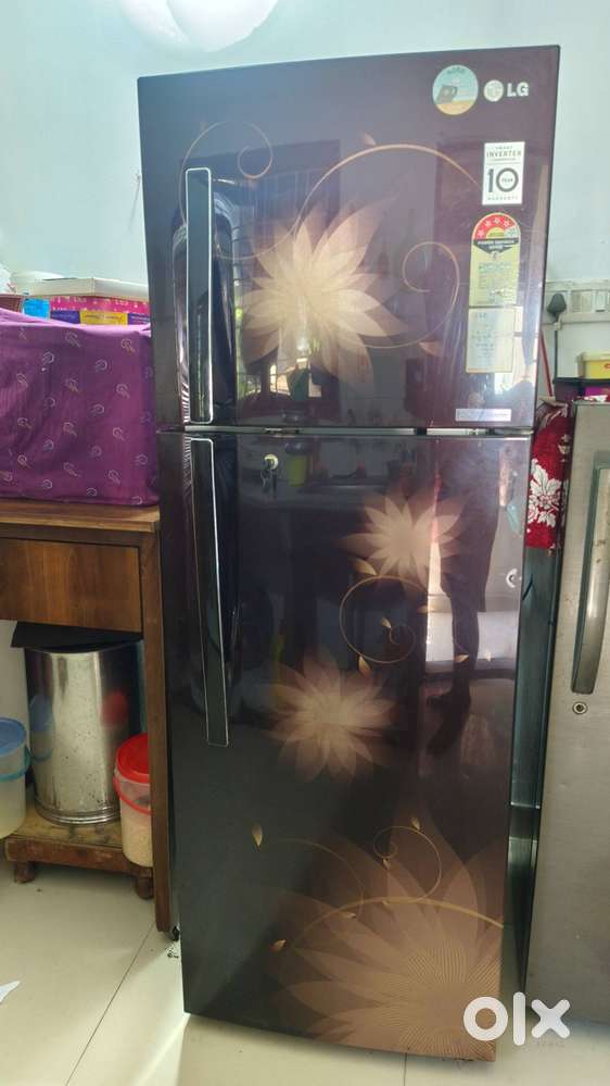 LG 300 liters double door