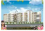 Spacious 3BHK Flat for Sale - Great Location!