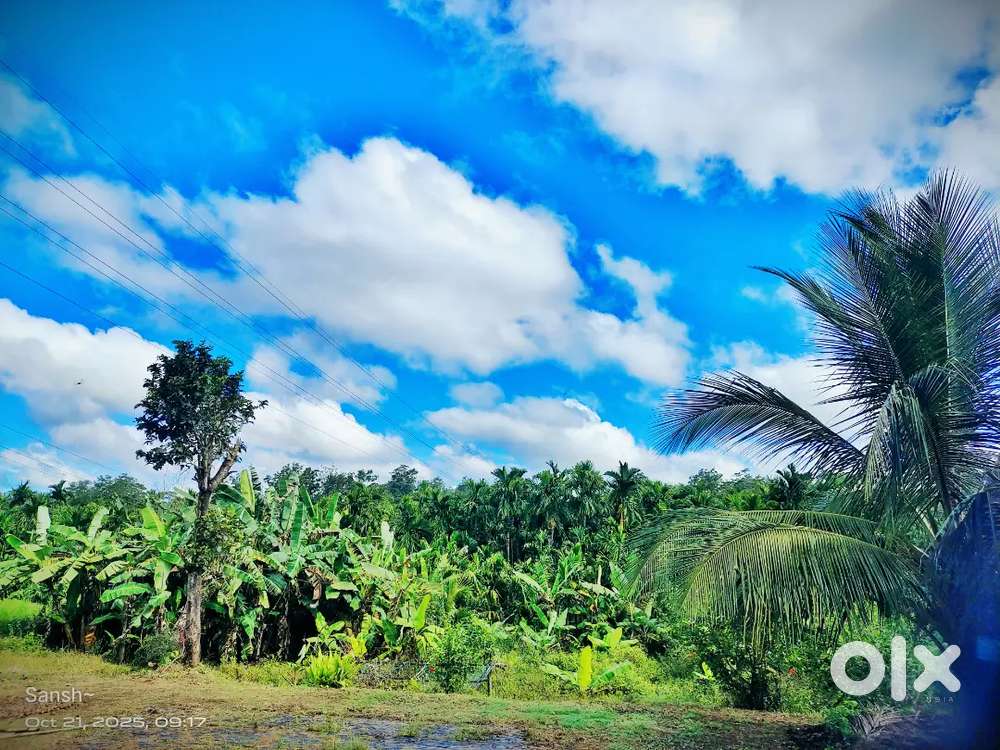 Agriculture land with house for sale