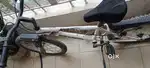 Rock rider for kids