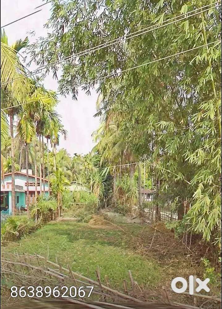 Bihaguri Likhak Gaon Tezpur
