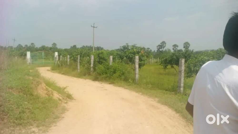 AGRICULTURE LAND FOR SALE NEAR K.V.PALLI