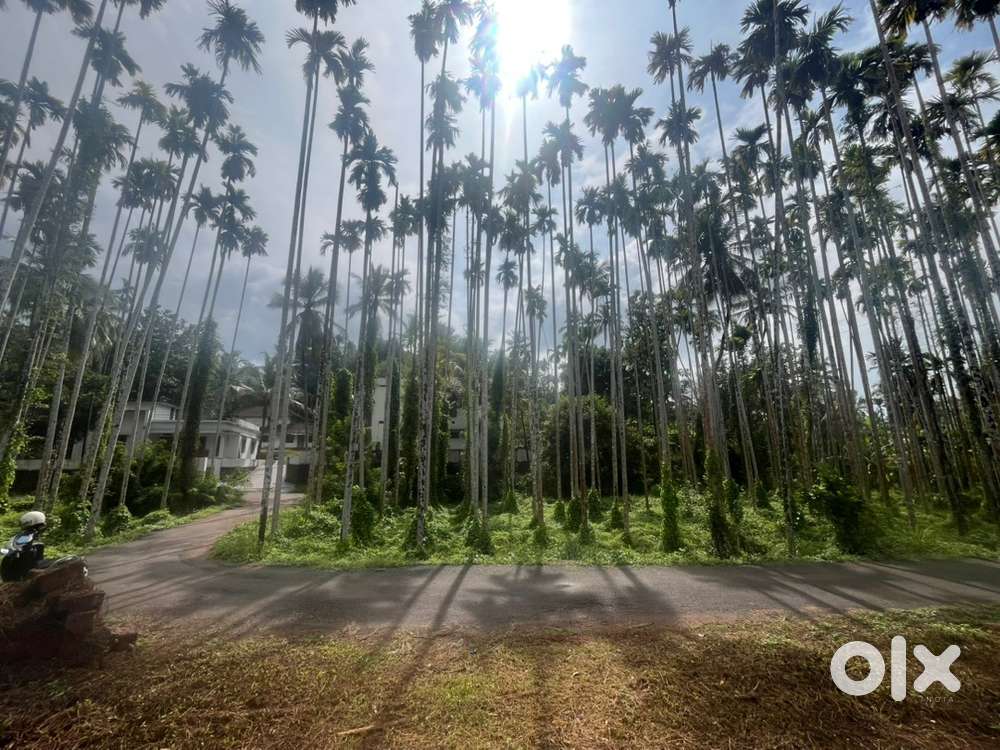 10 cent plot for sale @ mullampara