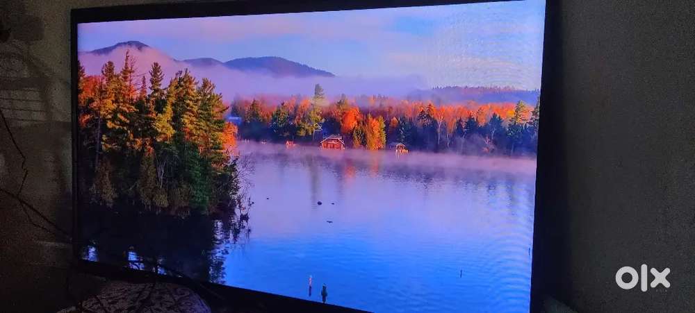 50inch Intex Led Tv.Fully Tip Top Working Condition