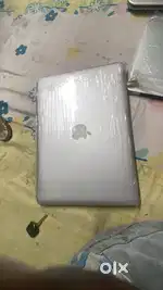 Apple new contie