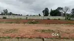 budget friendly plot