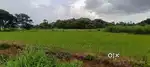 Good place or krishi farming