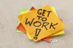 GOLDEN CHANCE FOR FRESHERS
