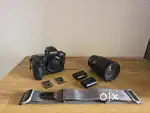 Nikon Z8 + 24-70mm f/2.8 S + ProGrade Cards + Peak Design Strap