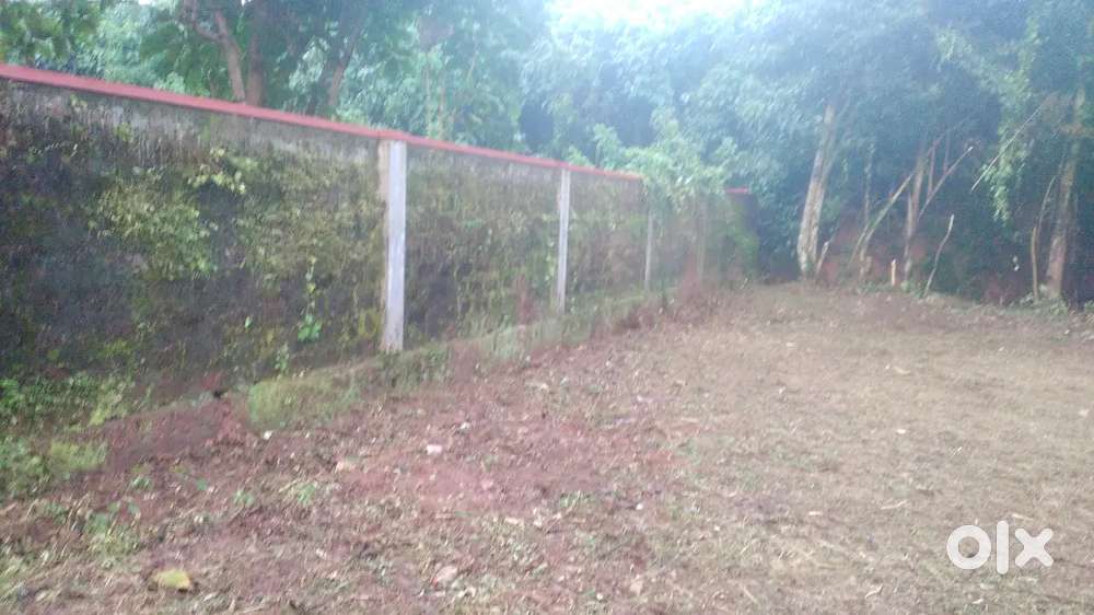 2500qfeet,near by Cambridge school,,nearby Rohan corporation