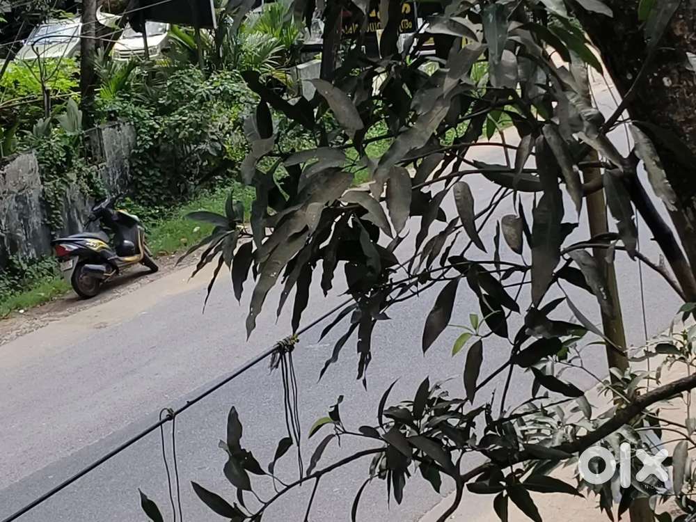 Plot for Rent,Near Kodungallur MalaHighway, Commercial Area, Main road