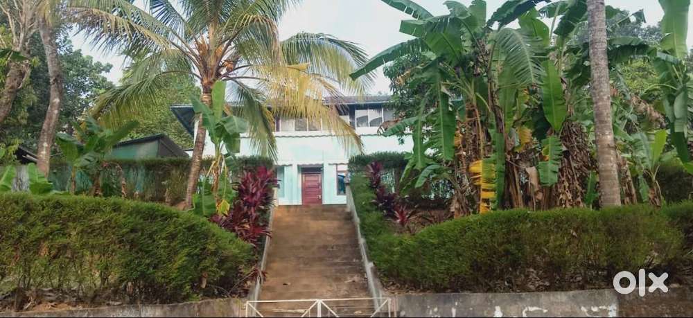 old house and 32.5 cent land near Thadiyampadu