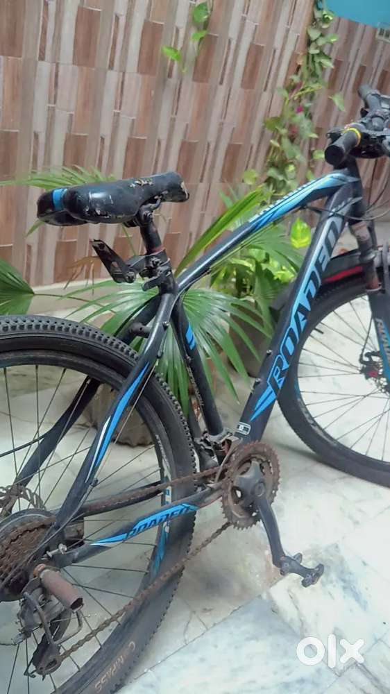 Roadeo bycycle