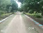 Premium plot for sale