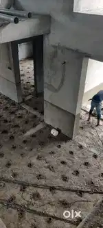 Termite control ant control cockroach control