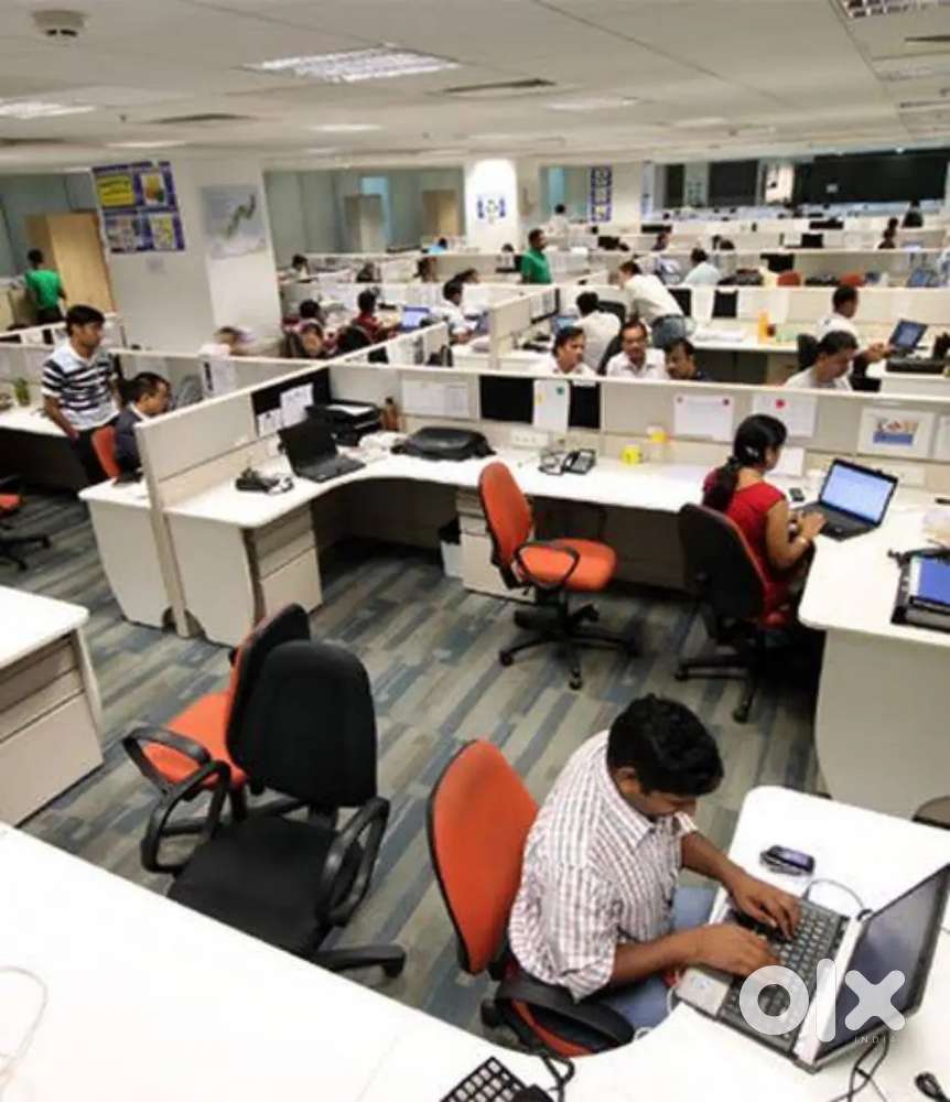 “IT Job Consultancy – Placement Support for Freshers & Experienced”