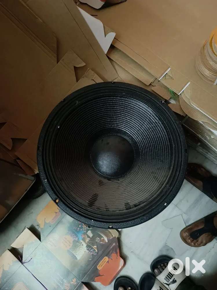 1000 watt speaker and two bass bins