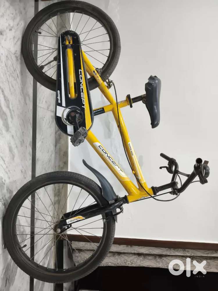 Bicycle 13 year old kid