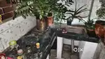 One room one kitchen one bathroom for rent