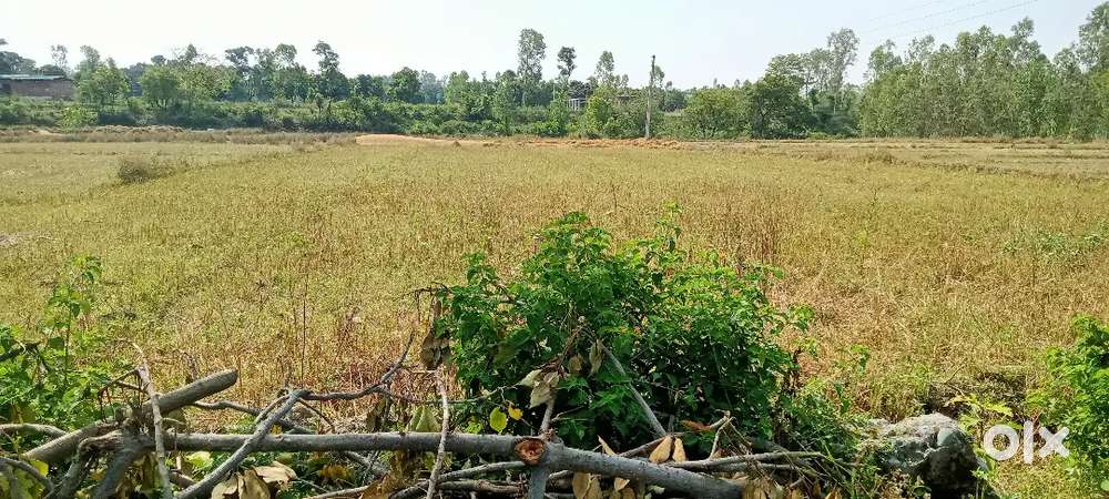 Herbertpur bypass rode near by sapience school .sivil kort