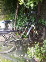 Avon men's bicycle