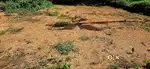 Square plot for sale