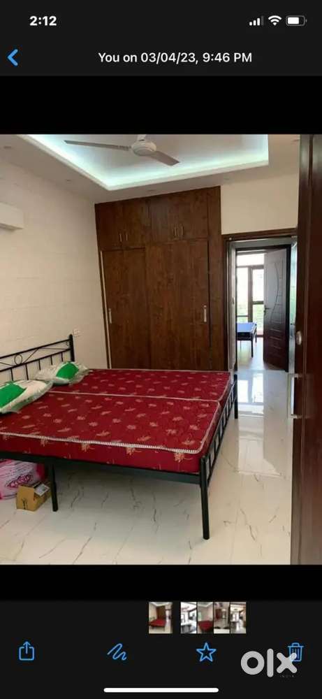 Furnished Room for Girls with Kitchen