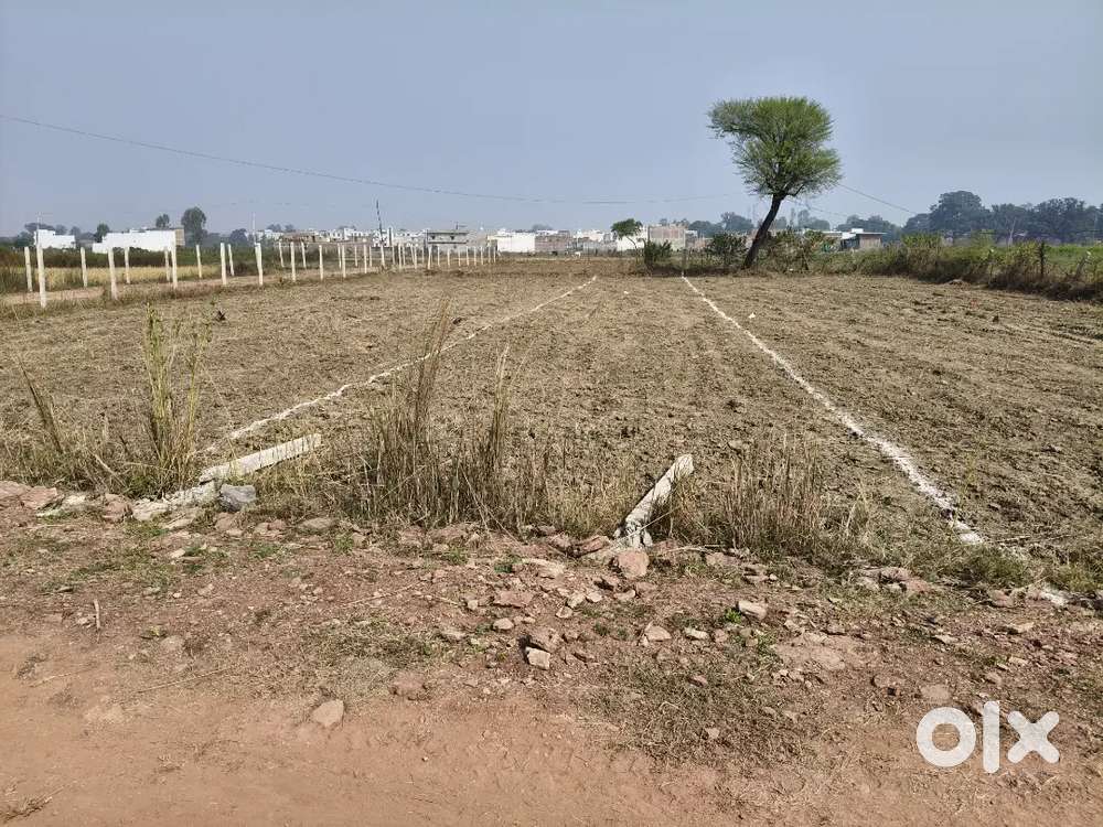 Only 36 dismil land minum plot.