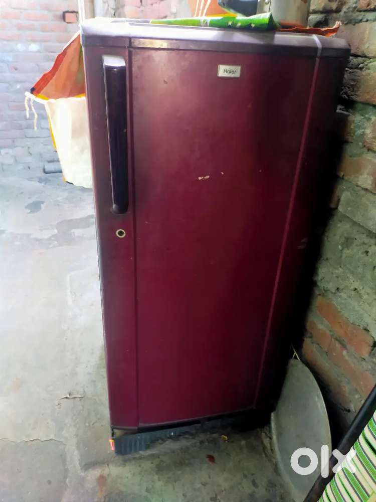 Ok freez hai sab gas dalegi