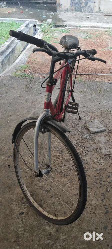 Cycle , single speed in good condition