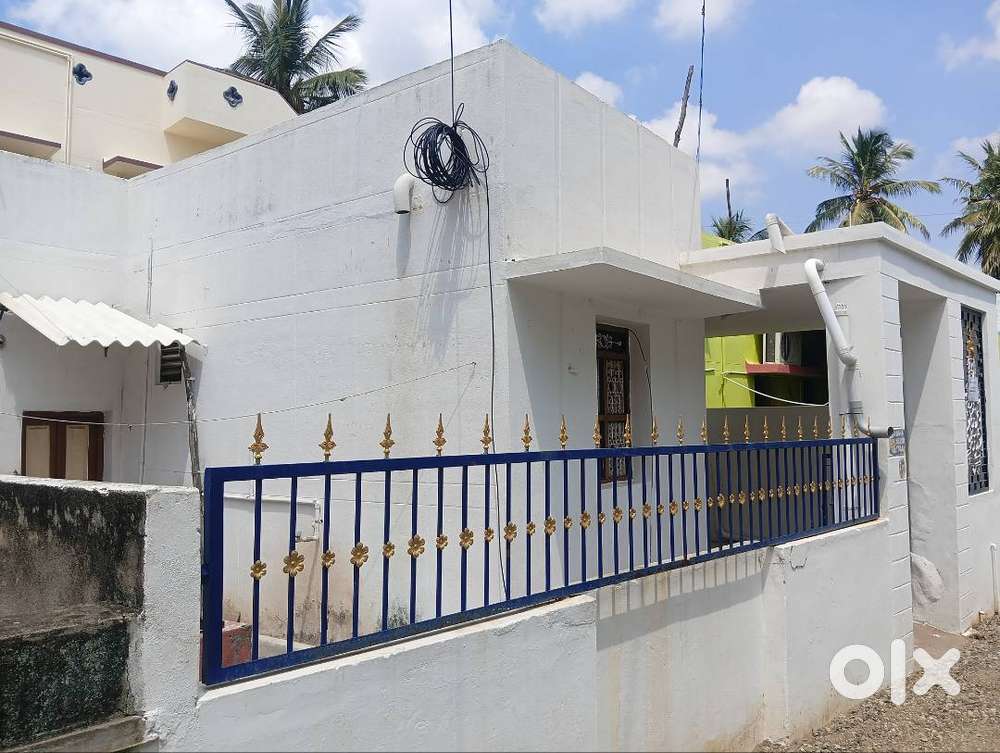 House for rent (family)