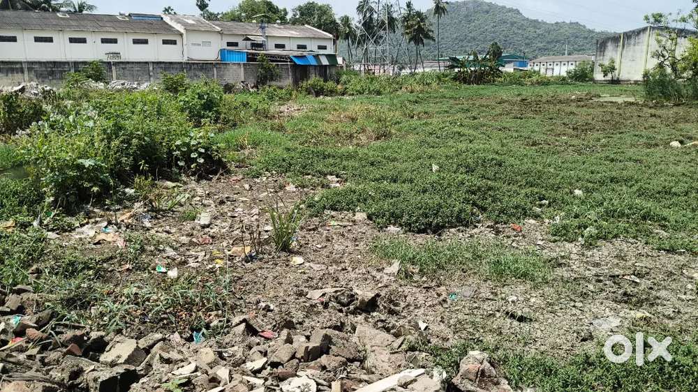 All documents of perfect you can check.. the.  E. C.