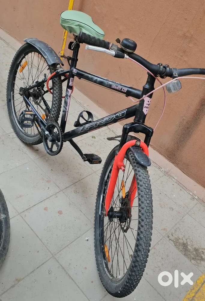 Frog - Graphite Bycycles on Sale