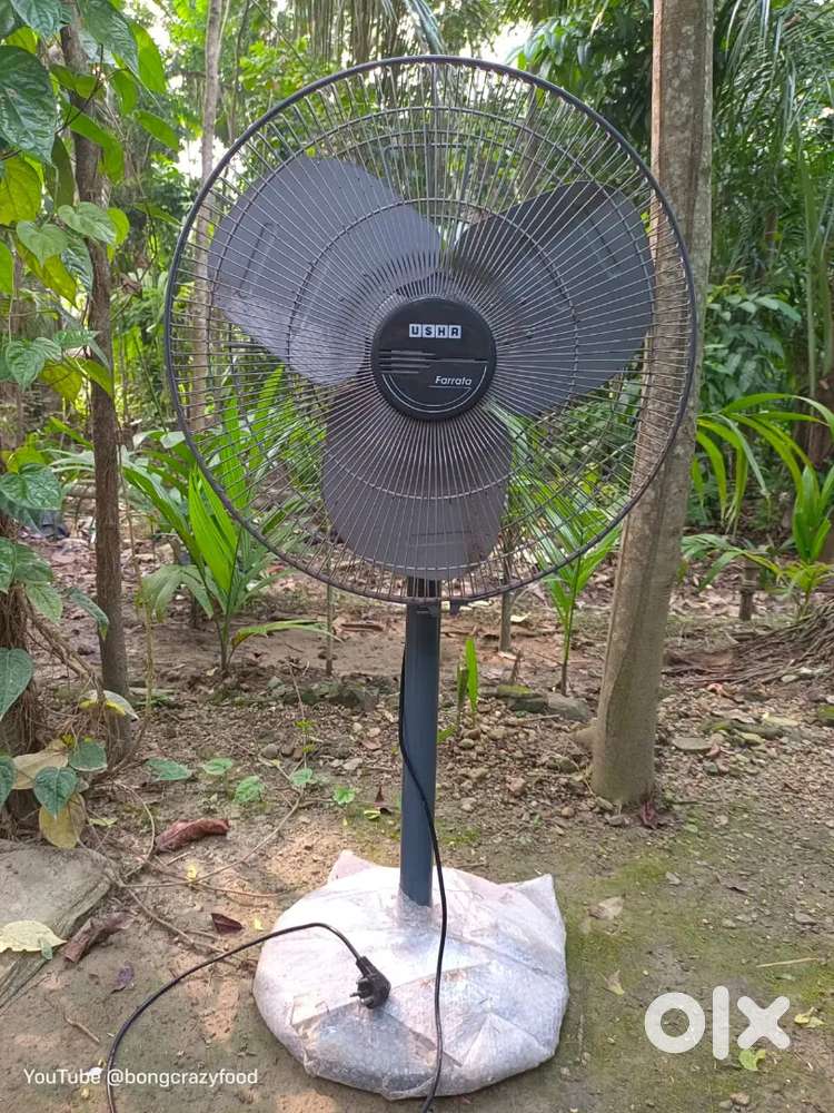 Usha stand Fan
