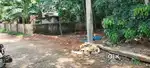 House plot