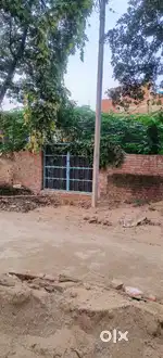 Land 4 Bissa (approx) at Benipur for sale