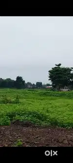 Murtijapur