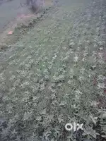 Khet sell karna hai